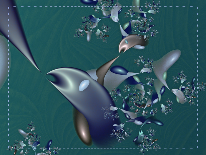 Dolphins_Det