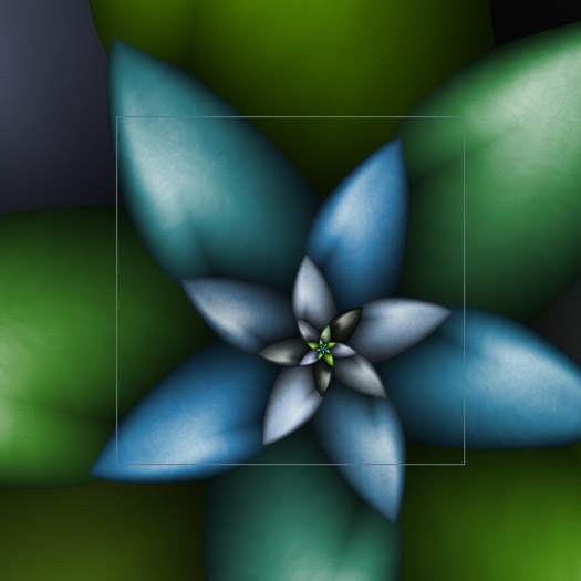 SoftFlower1